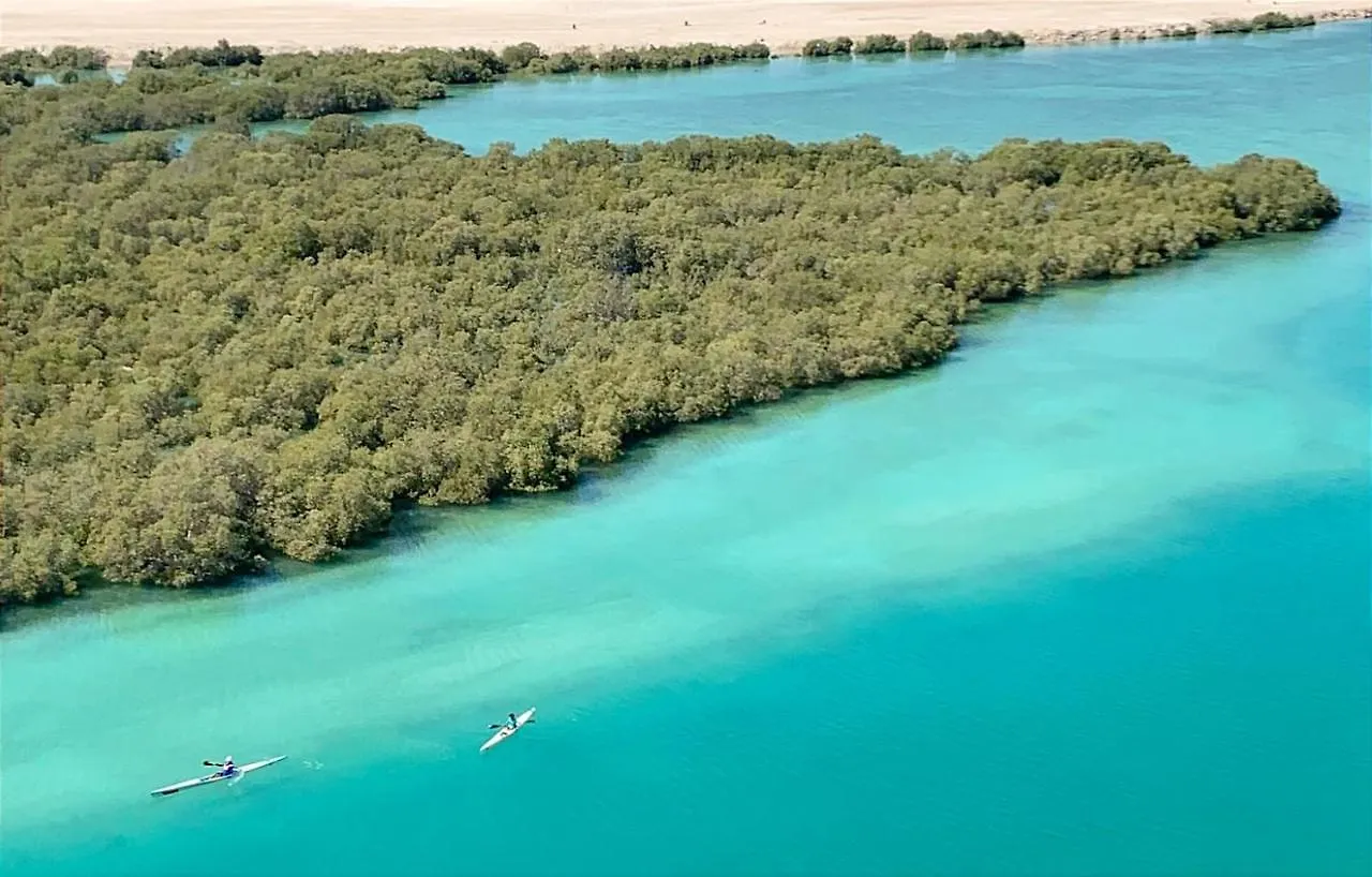 Abu Dhabi Cozy Mangrove View, Seaview 1 Bedroom 1 Partition Apartment Not Hotel  Αμπού Ντάμπι